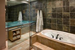温尼伯福克斯酒店的带浴缸和玻璃淋浴间的浴室。