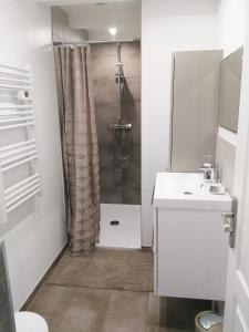 鲁法克Joli gîte F2 indépendant avec jardin privé的带淋浴和盥洗盆的浴室