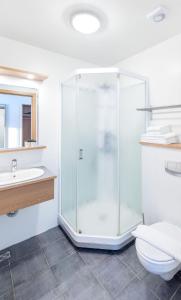 Haukadalur盖锡尔利特里酒店的带淋浴和卫生间的浴室