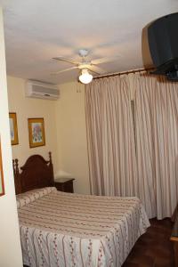 阿尔姆尼卡安达卢西亚旅馆的一间卧室配有一张床和吊扇