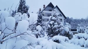 皮亚特拉-尼亚姆茨Pensiunea Almas的前面有雪覆盖的树木的房子