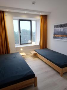 宾茨Ferienwohnung Albatros的一间卧室设有两张床和窗户。