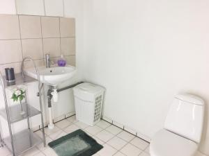 帕兹堡Padborg Hotel的白色的浴室设有水槽和卫生间。