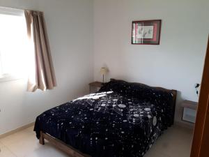 圣拉斐尔Complejo La Palmera的一间卧室配有一张带黑色棉被的床和窗户。
