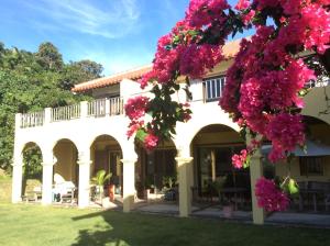 西表岛玛雅古斯库度假酒店的院子里有粉红色花的房子
