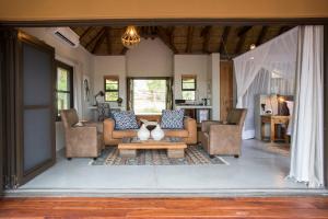 巴卢莱自然保护区Naledi Lodges的带沙发的客厅和咖啡桌上的猫