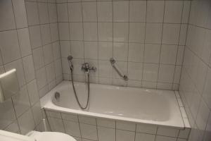 岑平Apartment Helena的带浴缸和卫生间的浴室。