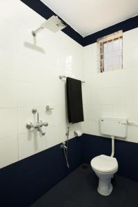 帕罗林Crystall Goa, Onyx Edition的蓝色和白色的浴室设有卫生间和淋浴。