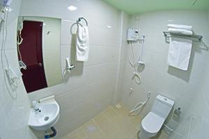 马累Tourist Inn的一间带水槽、卫生间和镜子的浴室