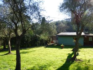 圣玛格丽塔-利古雷Lo Chalet tra gli ulivi的一座有树木的院子和一座房子