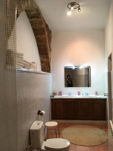 El VilosellCal Cabrer - El Vilosell的一间带水槽、卫生间和镜子的浴室