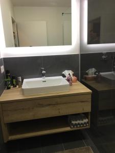 斯拉德明Haus Schladming的浴室设有白色水槽和镜子