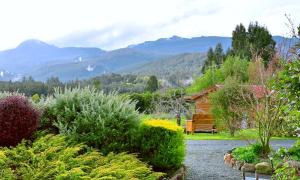 山景或在山林小屋看到的山景