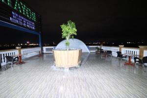 芹苴Royal Hotel Can Tho的夜晚在阳台上的喷泉里种着一棵树