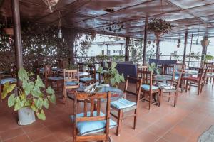 桑给巴尔马林迪旅馆的餐厅设有木桌和椅子,种有植物