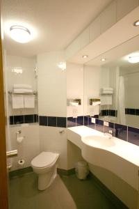 莱斯特戴斯莱斯特酒店的一间带卫生间、水槽和镜子的浴室