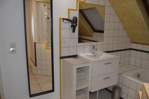 温格舍姆Au Pays de la Potasse的一间带水槽和镜子的浴室