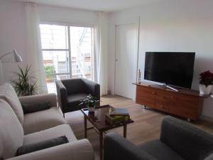 韦托维加Apartamento La Hiedra的带沙发和电视的客厅