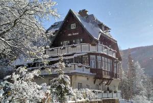 塞默灵Villa Daheim Semmering的山中大房子,被雪覆盖