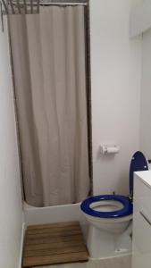 拉姆吉Studio 4 personnes的浴室配有带浴帘的卫生间