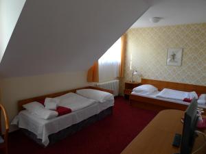 泰尔奇乌塞内赫奥拉酒店的酒店客房设有两张床和窗户。