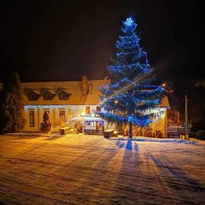 VýprachticePenzion U Jana的建筑物前有蓝光的圣诞树