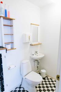 Borðeyri塔安加胡斯旅馆的浴室配有白色卫生间和盥洗盆。