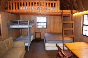 Mount StormAbrams Creek Campground的客房设有两张双层床和一张沙发。