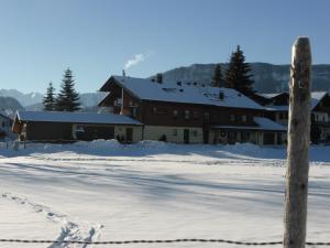 博尔斯特尔朗Ferienhotel Silberdistel garni的雪地中的建筑物,雪地中的脚印