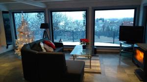 BiernaAgroturystyka z Widokiem na Szczyrk的客厅配有圣诞树和沙发