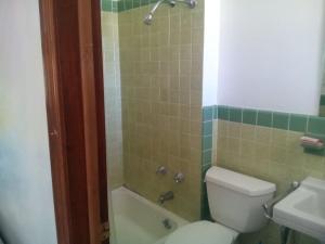 Mount StormMountaineer Motel的浴室配有卫生间、淋浴和盥洗盆。