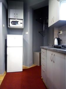 利沃夫Near Rynok Square的厨房配有白色冰箱和微波炉