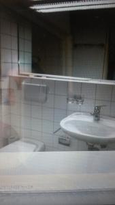 苏黎世客房民宿的一间带水槽和卫生间的浴室
