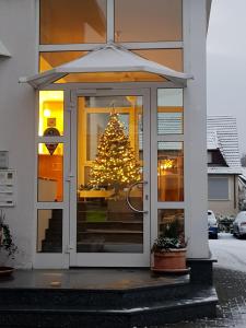 雷宁根Hotel Zur Eisenbahn的房子窗户上的圣诞树