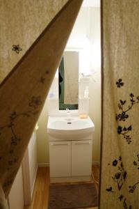 福冈Fukuoka Tabiji Hostel & Guesthouse的一间带水槽和镜子的浴室