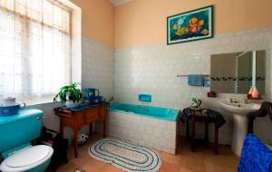 弗莱海德Petra's Country Guesthouse的浴室配有蓝色浴缸和水槽