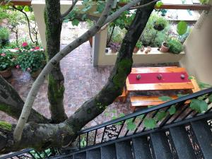 斯泰伦博斯10号亚历山大住宿加早餐旅馆的树旁有野餐桌的树