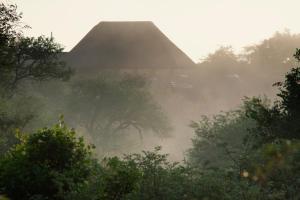 巴卢莱自然保护区Naledi Lodges的相册照片