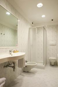 维罗纳嘉尔德尼亚酒店的一间带水槽、淋浴和卫生间的浴室