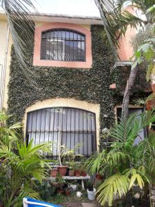 坎昆Casa Luz Verde的前面有一堆植物的建筑