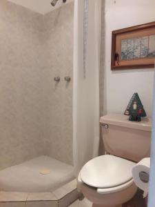 坎昆Casa Luz Verde的浴室配有白色卫生间和淋浴。