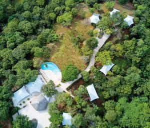 阿维拉纳海滩Mikado Natural Lodge的森林中房屋的空中景观
