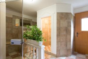 圣安东阿尔贝格Aparthotel Alpin Life的座上盆栽植物的浴室