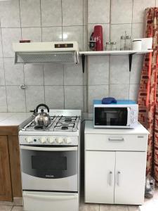 乌斯怀亚Del Bosque 487 Apartamento的厨房配有炉灶和微波炉。