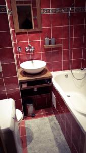 帕尔杜比采Apartmán Lucie的红色瓷砖浴室设有水槽和浴缸