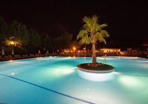 厄吕代尼兹Hotel Greenland - All Inclusive的中间有一个棕榈树的大型游泳池