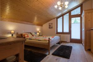 利德阿尔卑斯银沙酒店及餐厅的一间卧室设有一张床和一些窗户。