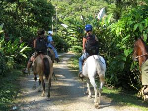 比加瓜赛乐斯特山旅舍的一群骑马的人沿着小径骑着