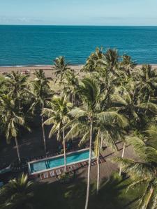 曼巴豪在别处精品度假酒店的享有棕榈树海滩和游泳池的空中景致