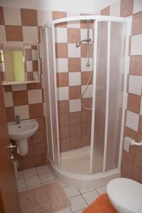 布拉迪斯拉发拉塔诺膳食公寓的带淋浴、卫生间和盥洗盆的浴室